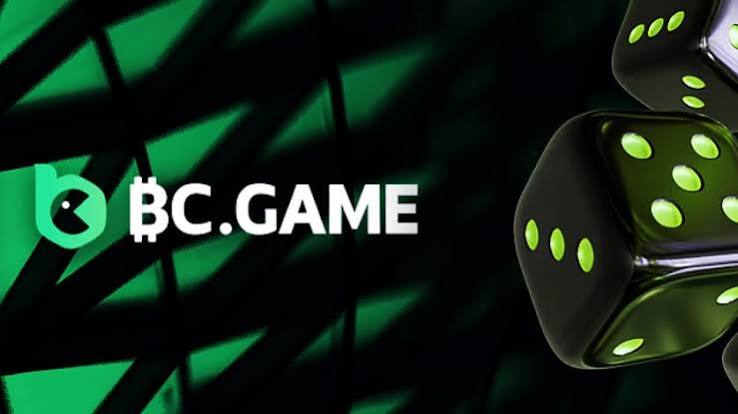 Experience the Thrill of Online Casino with BC Game India